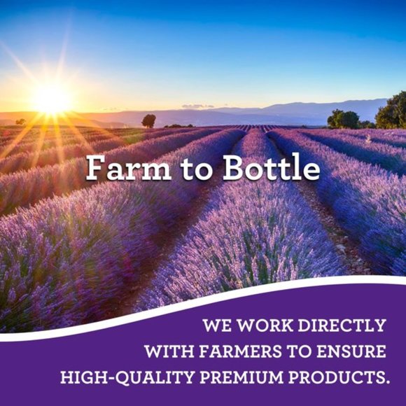 Guru Nanda - True Lavender Essential Oil - Picture 7 of 7